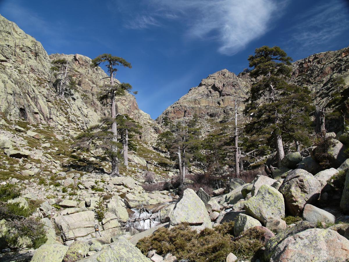 Castel De Vergio Albertacce Eksteriør billede