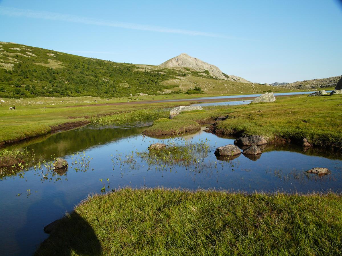 Castel De Vergio Albertacce Eksteriør billede